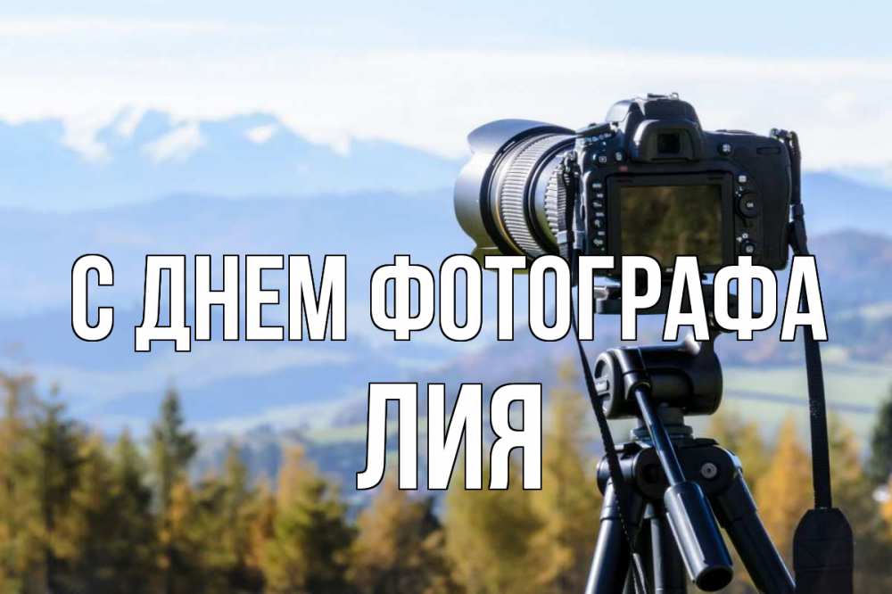 Открытка на каждый день с именем, Лия С днем фотографа с днем фотографа Прикольная открытка с пожеланием онлайн скачать бесплатно 