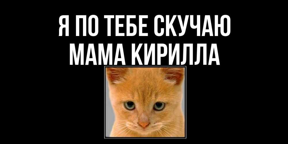 Открытка на каждый день с именем, Мама-Кирилла Я по тебе скучаю открытки рыжий котенок скучает по тебе Прикольная открытка с пожеланием онлайн скачать бесплатно 