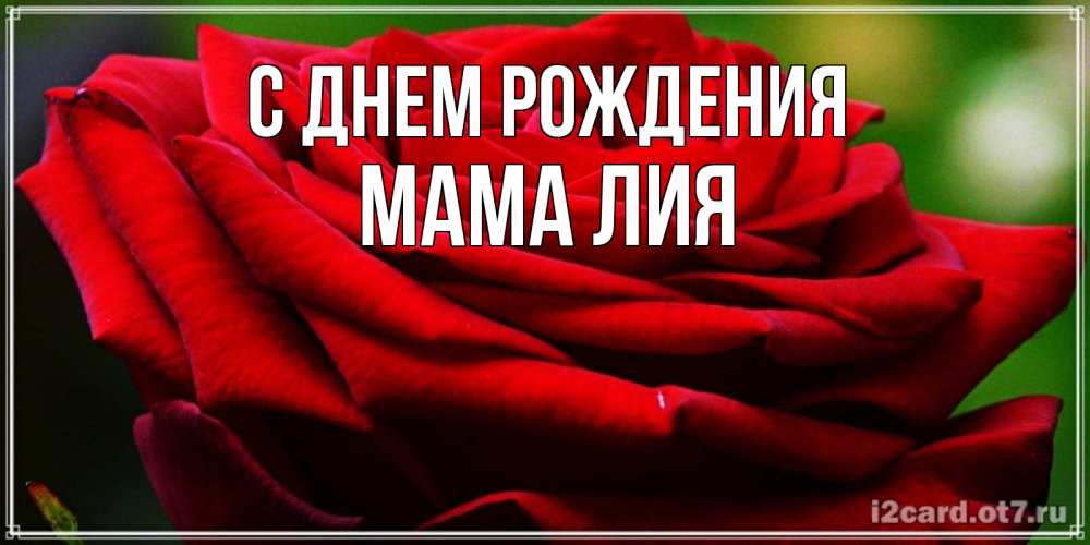 Открытка на каждый день с именем, Мама-Лия С днем рождения розочка очень красивая Прикольная открытка с пожеланием онлайн скачать бесплатно 
