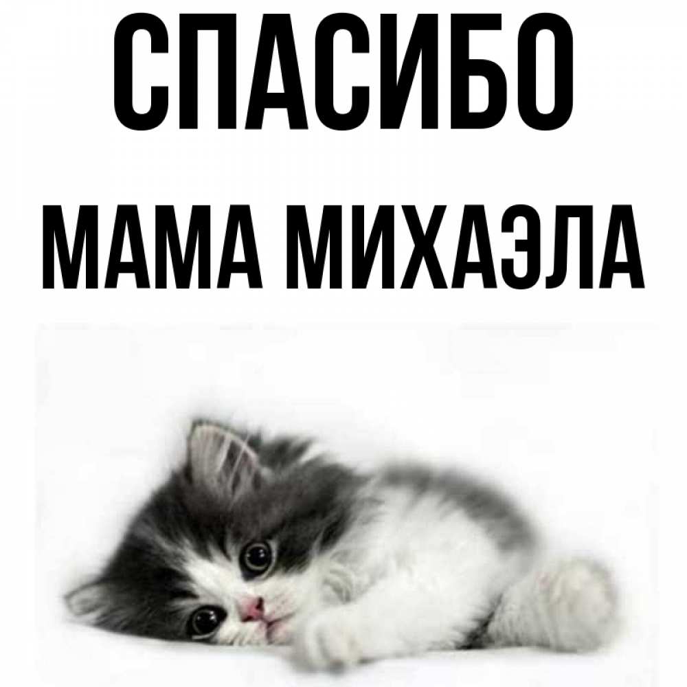 Открытка на каждый день с именем, Мама-Михаэла Спасибо черный и белый кот Прикольная открытка с пожеланием онлайн скачать бесплатно 