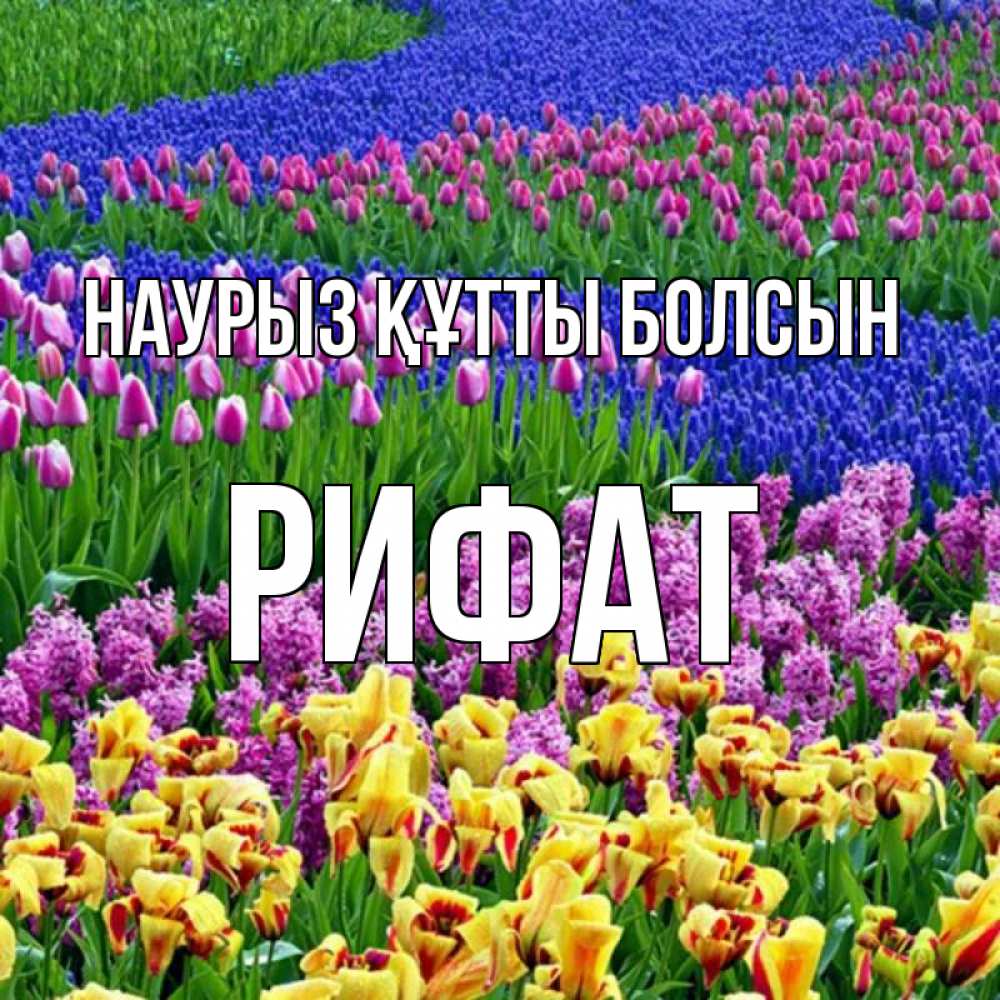 Открытка на каждый день с именем, Рифат Наурыз құтты болсын цветы Прикольная открытка с пожеланием онлайн скачать бесплатно 