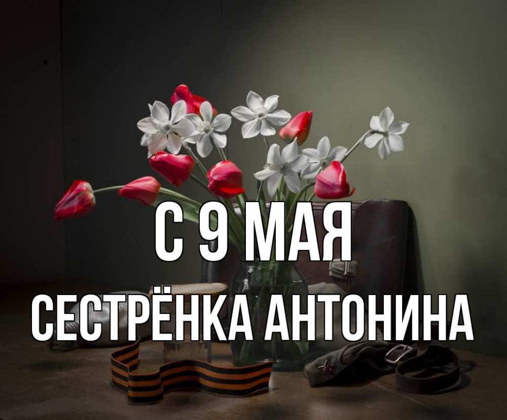 Открытка на каждый день с именем, Сестрёнка-Антонина С 9 мая 9 мая Прикольная открытка с пожеланием онлайн скачать бесплатно 