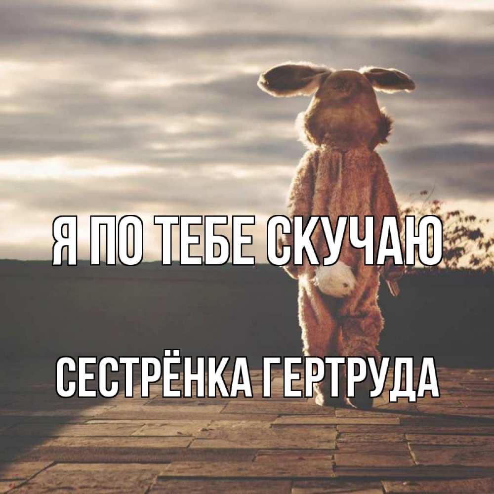 Открытка на каждый день с именем, Сестрёнка-Гертруда Я по тебе скучаю даже в костюме зайца Прикольная открытка с пожеланием онлайн скачать бесплатно 