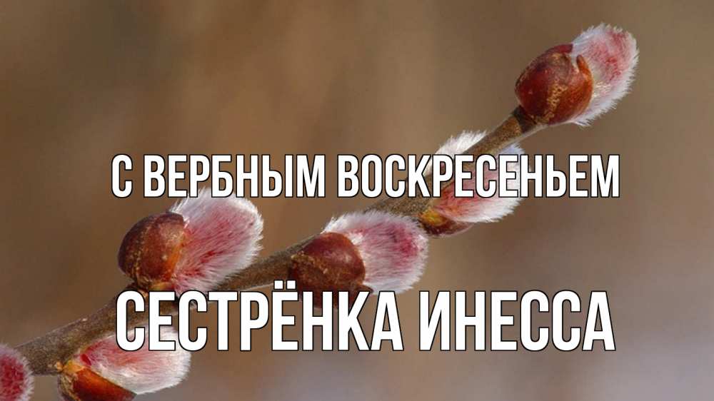 Открытка на каждый день с именем, Сестрёнка-Инесса С вербным воскресеньем верба Прикольная открытка с пожеланием онлайн скачать бесплатно 