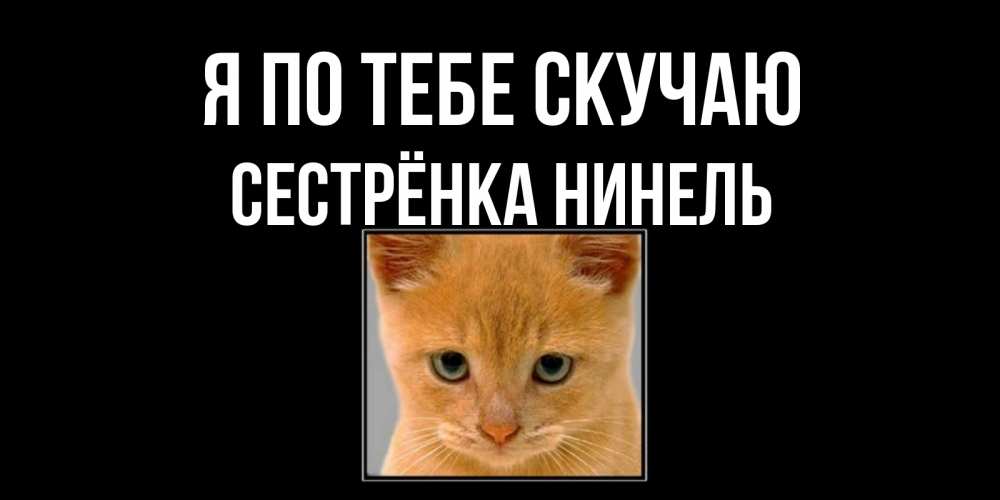 Открытка на каждый день с именем, Сестрёнка-Нинель Я по тебе скучаю открытки рыжий котенок скучает по тебе Прикольная открытка с пожеланием онлайн скачать бесплатно 