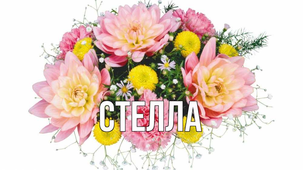 Открытка на каждый день с именем, Стелла Главная с днем бухгалтера Прикольная открытка с пожеланием онлайн скачать бесплатно 