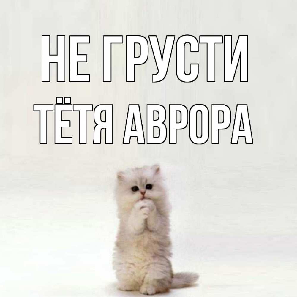 Открытка на каждый день с именем, Тётя-Аврора Не грусти грустный кот Прикольная открытка с пожеланием онлайн скачать бесплатно 