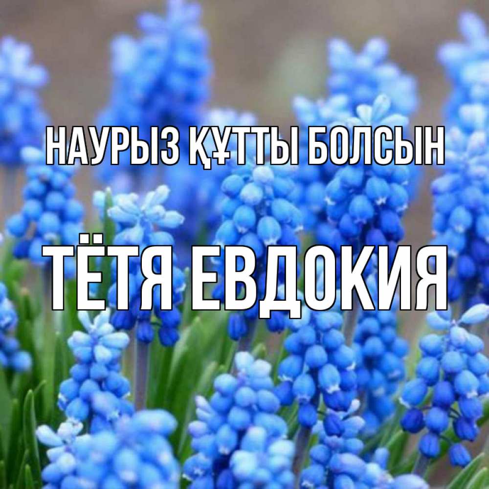 Открытка на каждый день с именем, Тётя-Евдокия Наурыз құтты болсын Поздравительная открытка для женщин с цветами на праздничную дату Прикольная открытка с пожеланием онлайн скачать бесплатно 