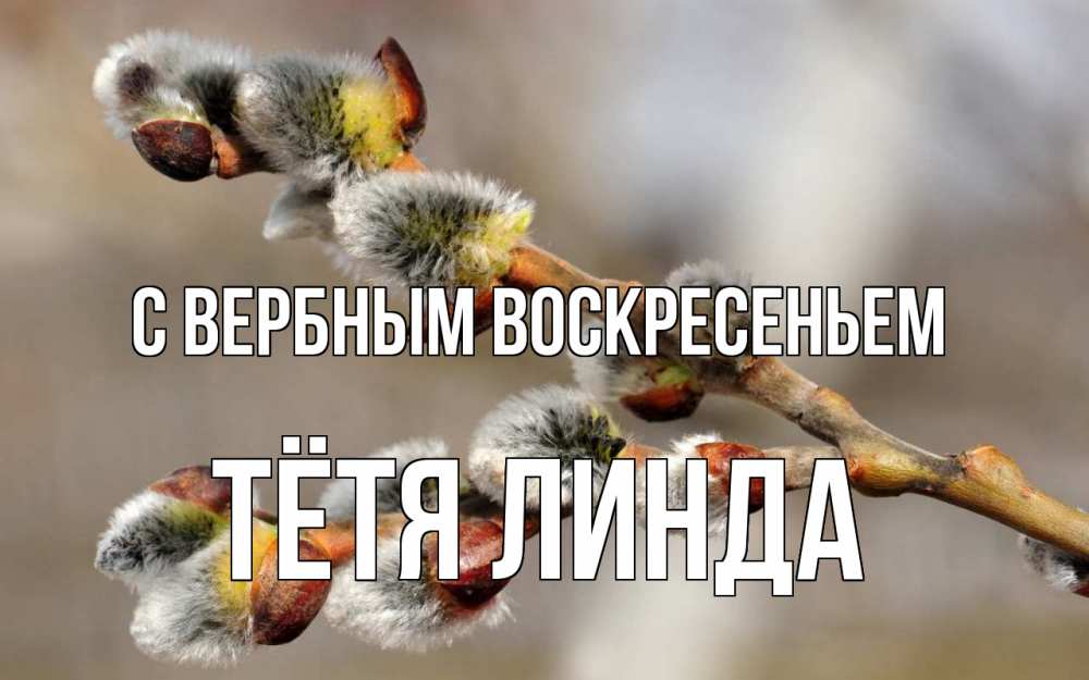 Открытка на каждый день с именем, Тётя-Линда С вербным воскресеньем Верба Прикольная открытка с пожеланием онлайн скачать бесплатно 