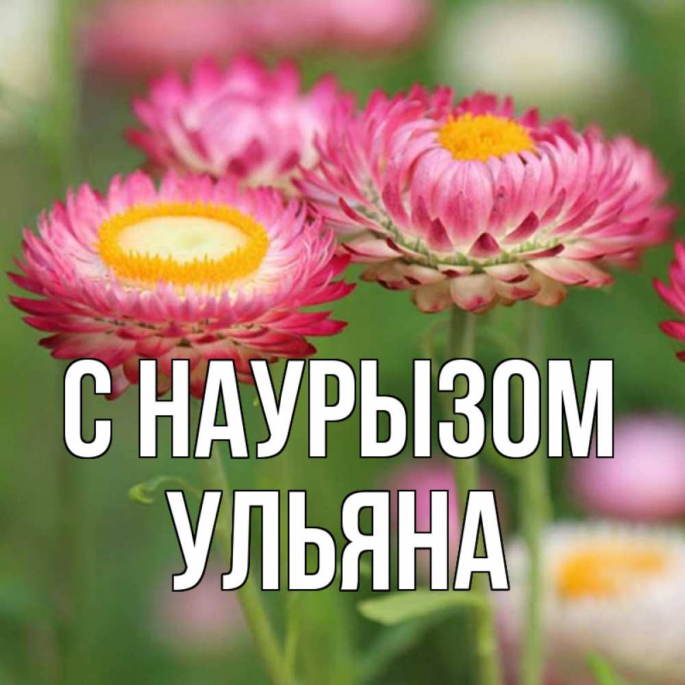 Открытка на каждый день с именем, Ульяна С наурызом подарок на международный женский день Прикольная открытка с пожеланием онлайн скачать бесплатно 