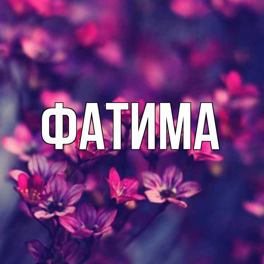 Открытка на каждый день с именем, Фатима Главная небольшие цветы 1 Прикольная открытка с пожеланием онлайн скачать бесплатно 