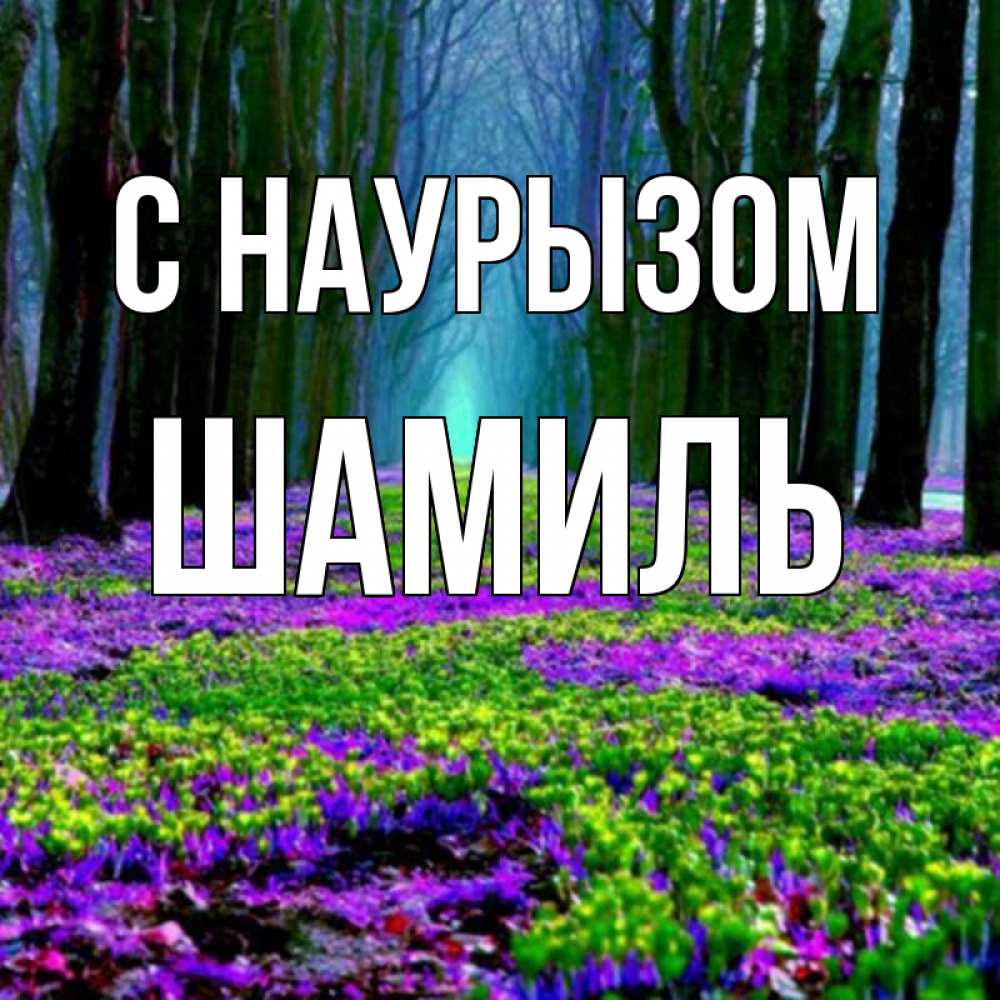 Открытка на каждый день с именем, Шамиль С наурызом фиолетовые цветы в лесу 1 Прикольная открытка с пожеланием онлайн скачать бесплатно 