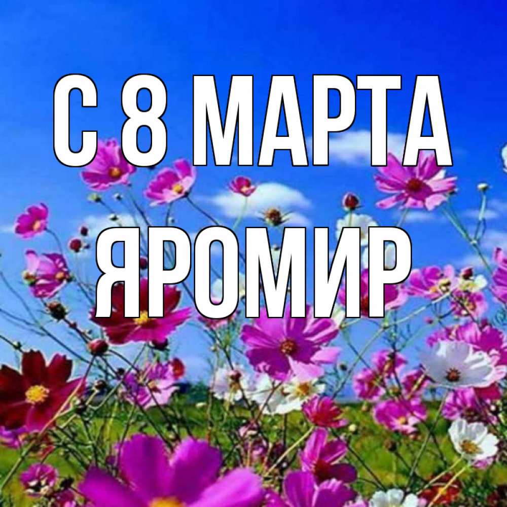 Открытка на каждый день с именем, Яромир С 8 МАРТА цветы Прикольная открытка с пожеланием онлайн скачать бесплатно 