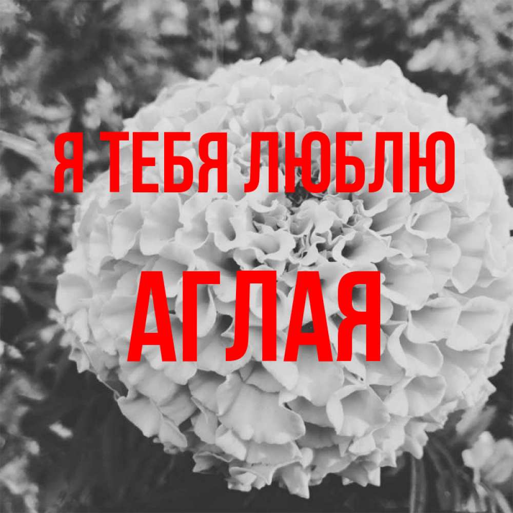 Открытка на каждый день с именем, Аглая Я тебя люблю подпись Прикольная открытка с пожеланием онлайн скачать бесплатно 