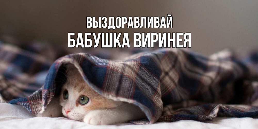 Открытка на каждый день с именем, Бабушка-Виринея Выздоравливай не болейте с котиком Прикольная открытка с пожеланием онлайн скачать бесплатно 