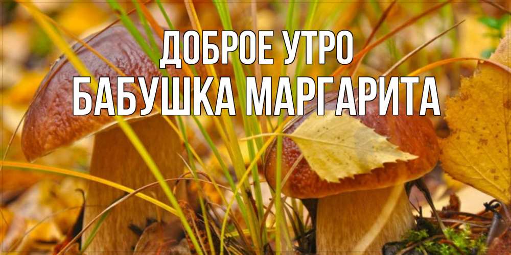 Открытка на каждый день с именем, Бабушка-Маргарита Доброе утро осенние грибы Прикольная открытка с пожеланием онлайн скачать бесплатно 