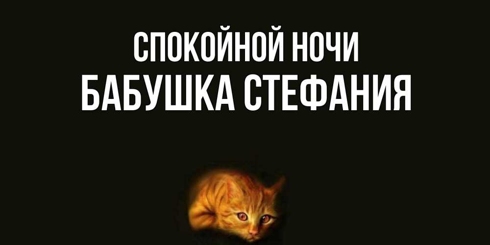 Открытка на каждый день с именем, Бабушка-Стефания Спокойной ночи кот Прикольная открытка с пожеланием онлайн скачать бесплатно 