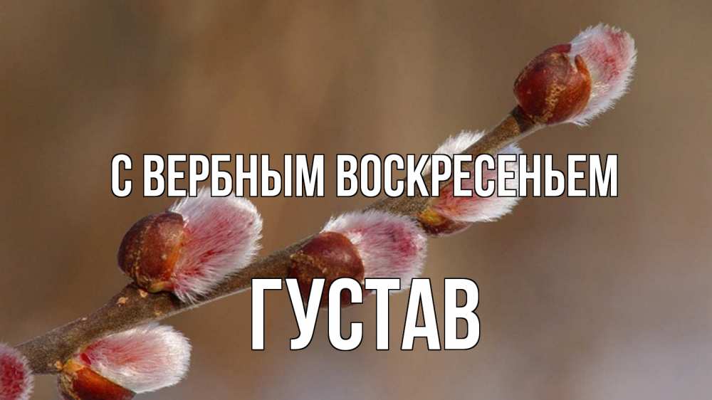 Открытка на каждый день с именем, Густав С вербным воскресеньем верба Прикольная открытка с пожеланием онлайн скачать бесплатно 