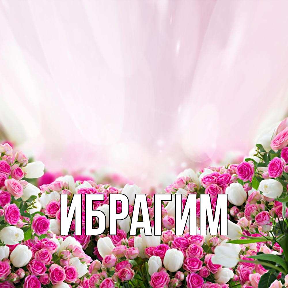 Открытка на каждый день с именем, Ибрагим Главная под снегом Прикольная открытка с пожеланием онлайн скачать бесплатно 