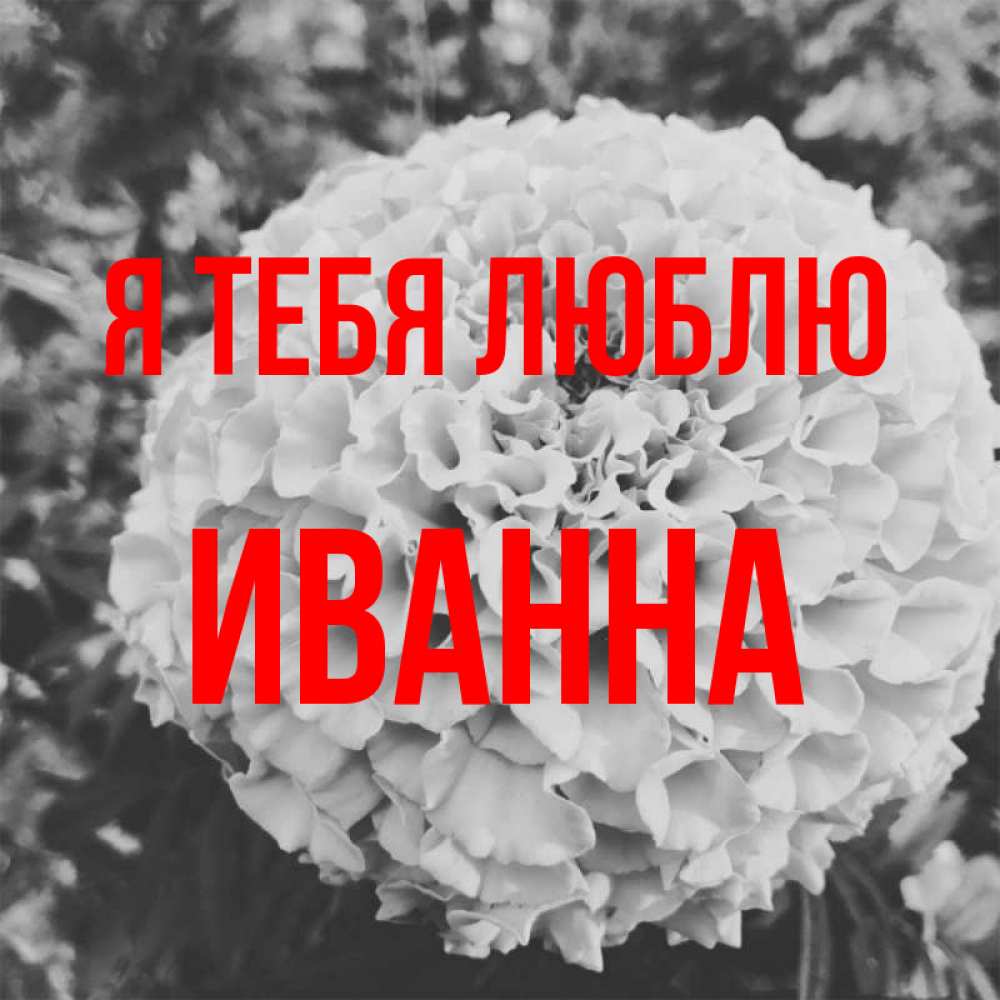 Открытка на каждый день с именем, Иванна Я тебя люблю подпись Прикольная открытка с пожеланием онлайн скачать бесплатно 