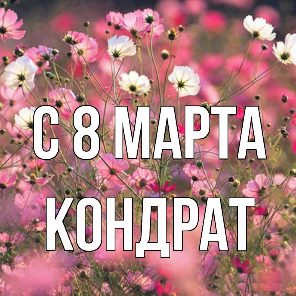 Открытка на каждый день с именем, Кондрат С 8 МАРТА красиво 1 Прикольная открытка с пожеланием онлайн скачать бесплатно 