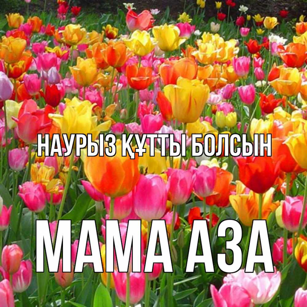 Открытка на каждый день с именем, Мама-Аза Наурыз құтты болсын на наурыз  ура ура Прикольная открытка с пожеланием онлайн скачать бесплатно 