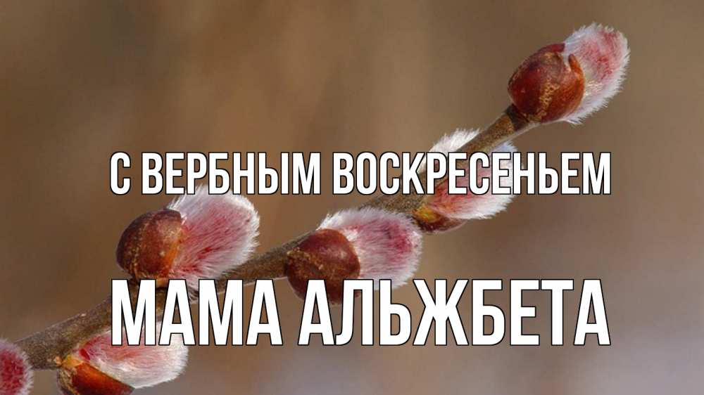Открытка на каждый день с именем, Мама-Альжбета С вербным воскресеньем верба Прикольная открытка с пожеланием онлайн скачать бесплатно 