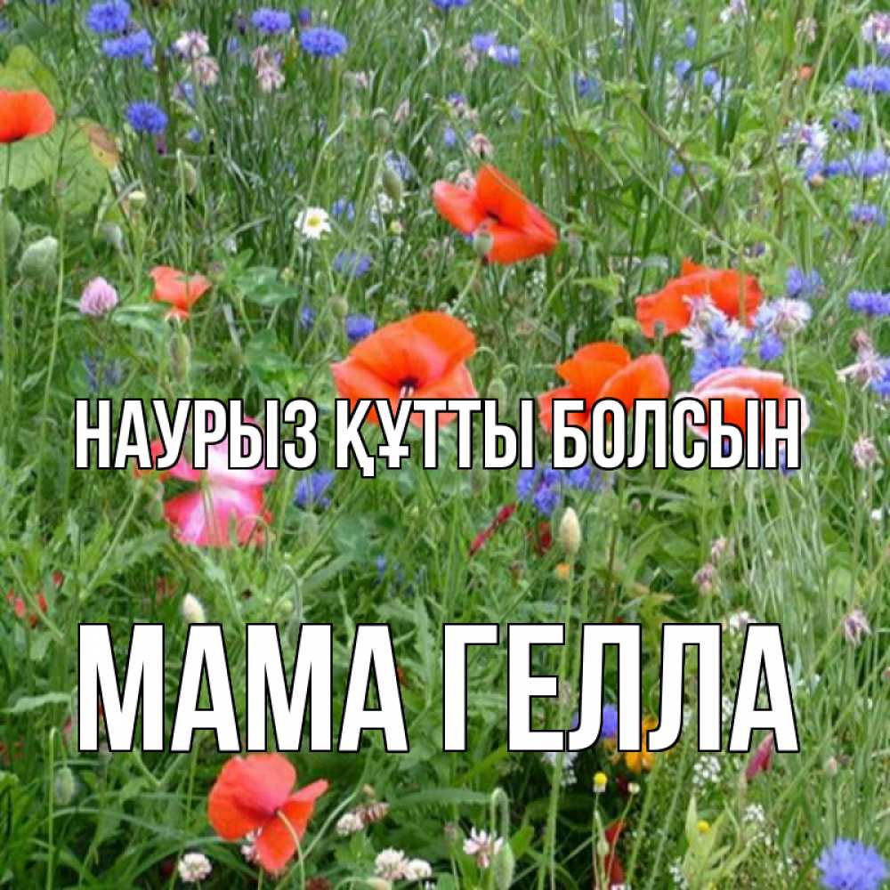 Открытка на каждый день с именем, Мама-Гелла Наурыз құтты болсын наурыз  4 Прикольная открытка с пожеланием онлайн скачать бесплатно 