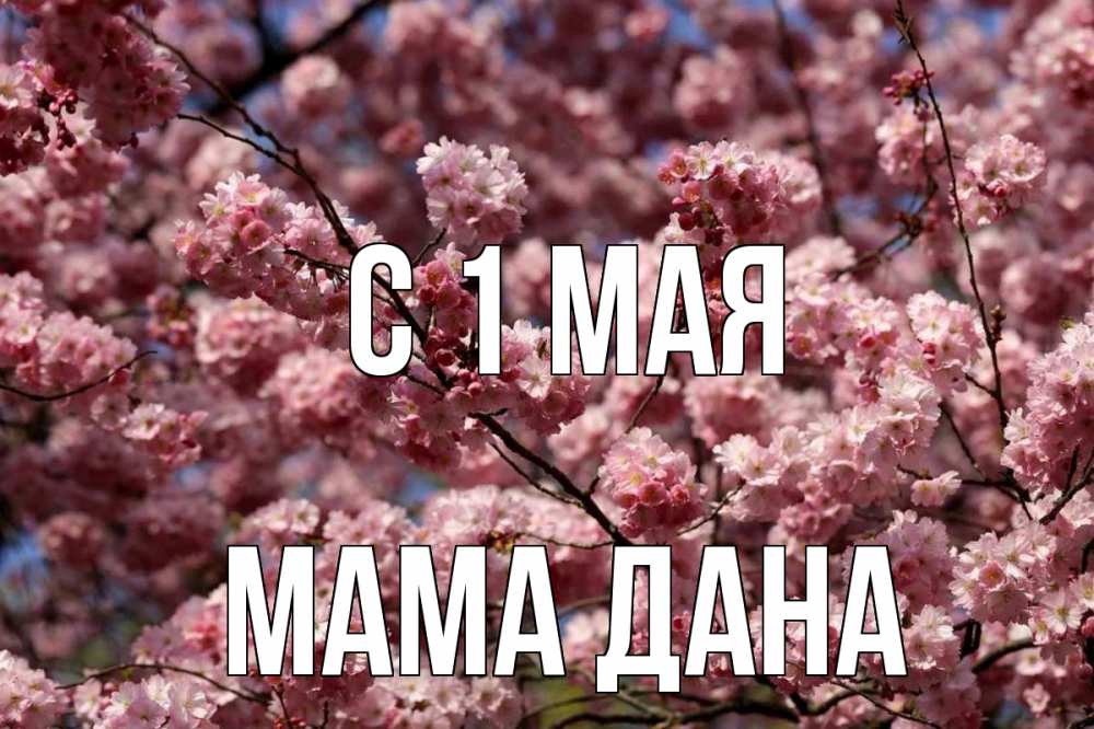 Открытка на каждый день с именем, Мама-Дана С 1 мая С 1 мая Прикольная открытка с пожеланием онлайн скачать бесплатно 