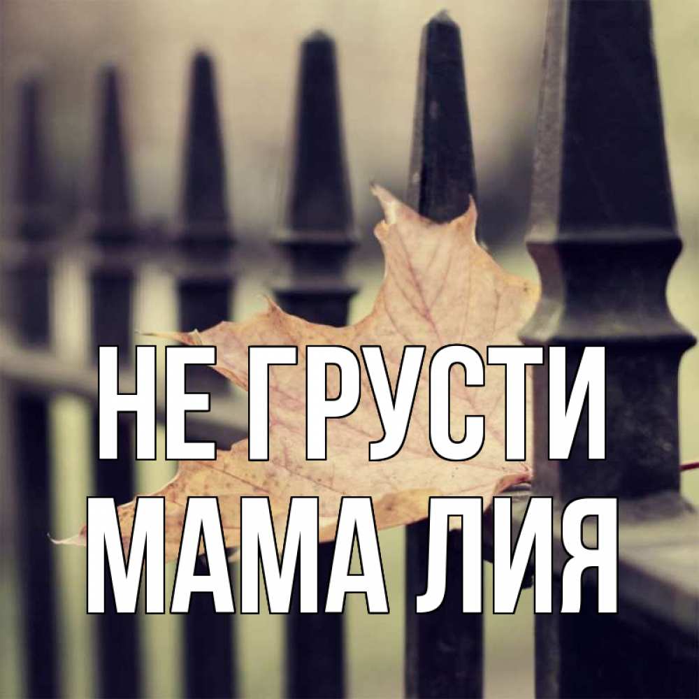 Открытка на каждый день с именем, Мама-Лия Не грусти лист клена Прикольная открытка с пожеланием онлайн скачать бесплатно 