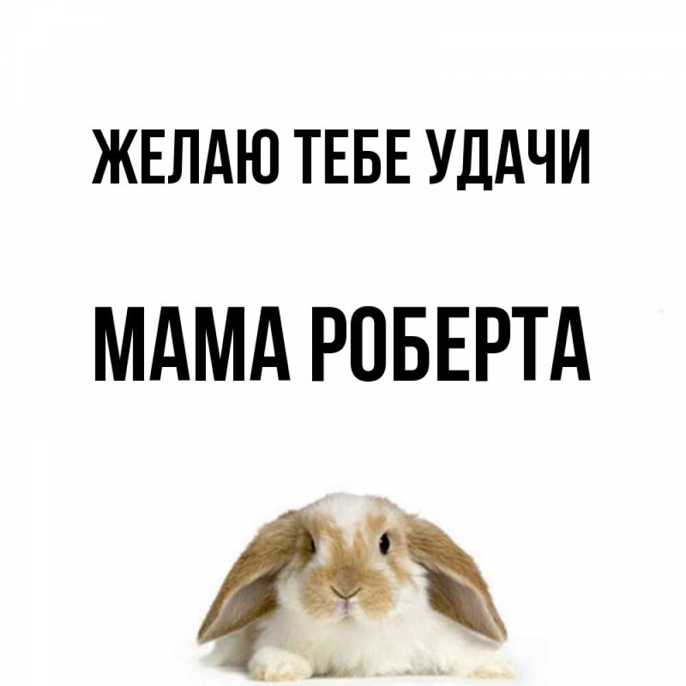 Открытка на каждый день с именем, Мама-Роберта Желаю тебе удачи открытки с произвольным текстом который можно вставить в открытку и создать ее самостоятельно бесплатно онлайн Прикольная открытка с пожеланием онлайн скачать бесплатно 
