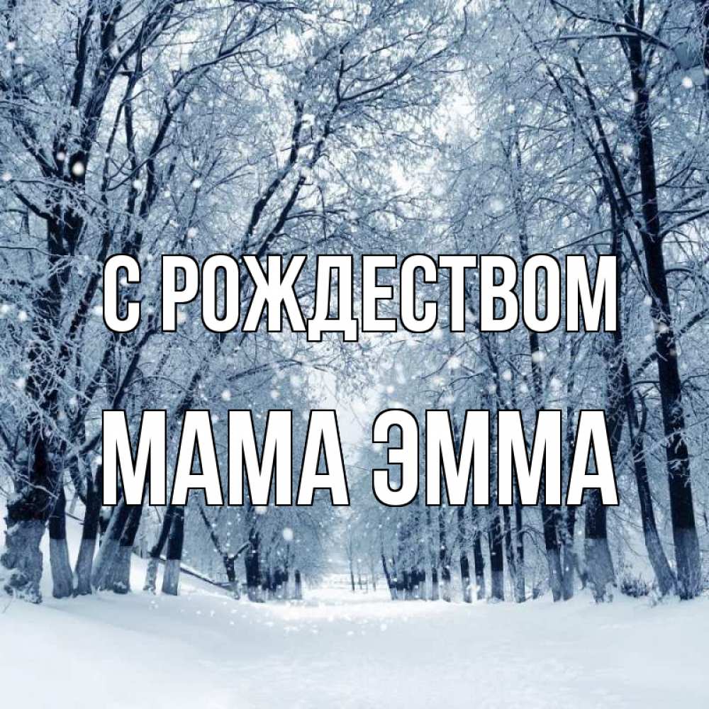 Открытка на каждый день с именем, Мама-Эмма С рождеством снег, лес, парк Прикольная открытка с пожеланием онлайн скачать бесплатно 