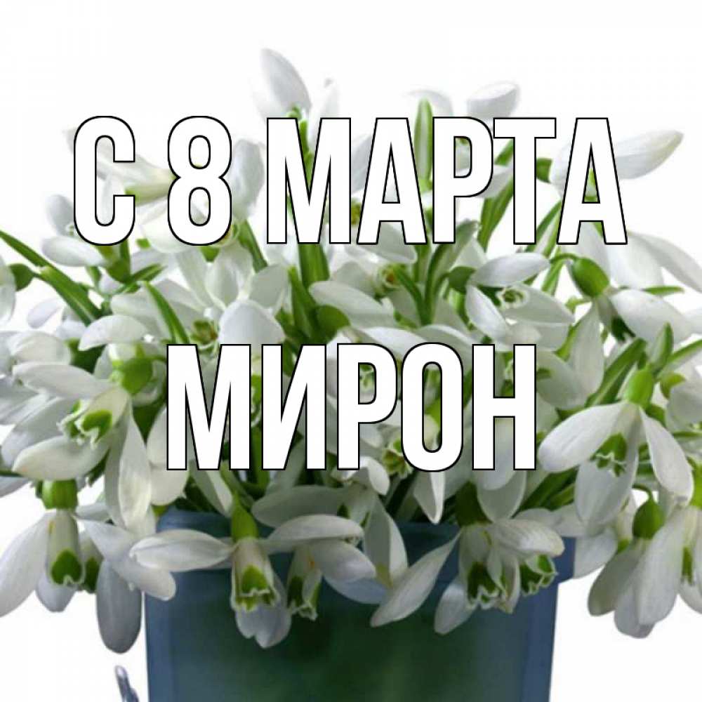 Открытка на каждый день с именем, Мирон С 8 МАРТА цветы к международному женскому дню Прикольная открытка с пожеланием онлайн скачать бесплатно 
