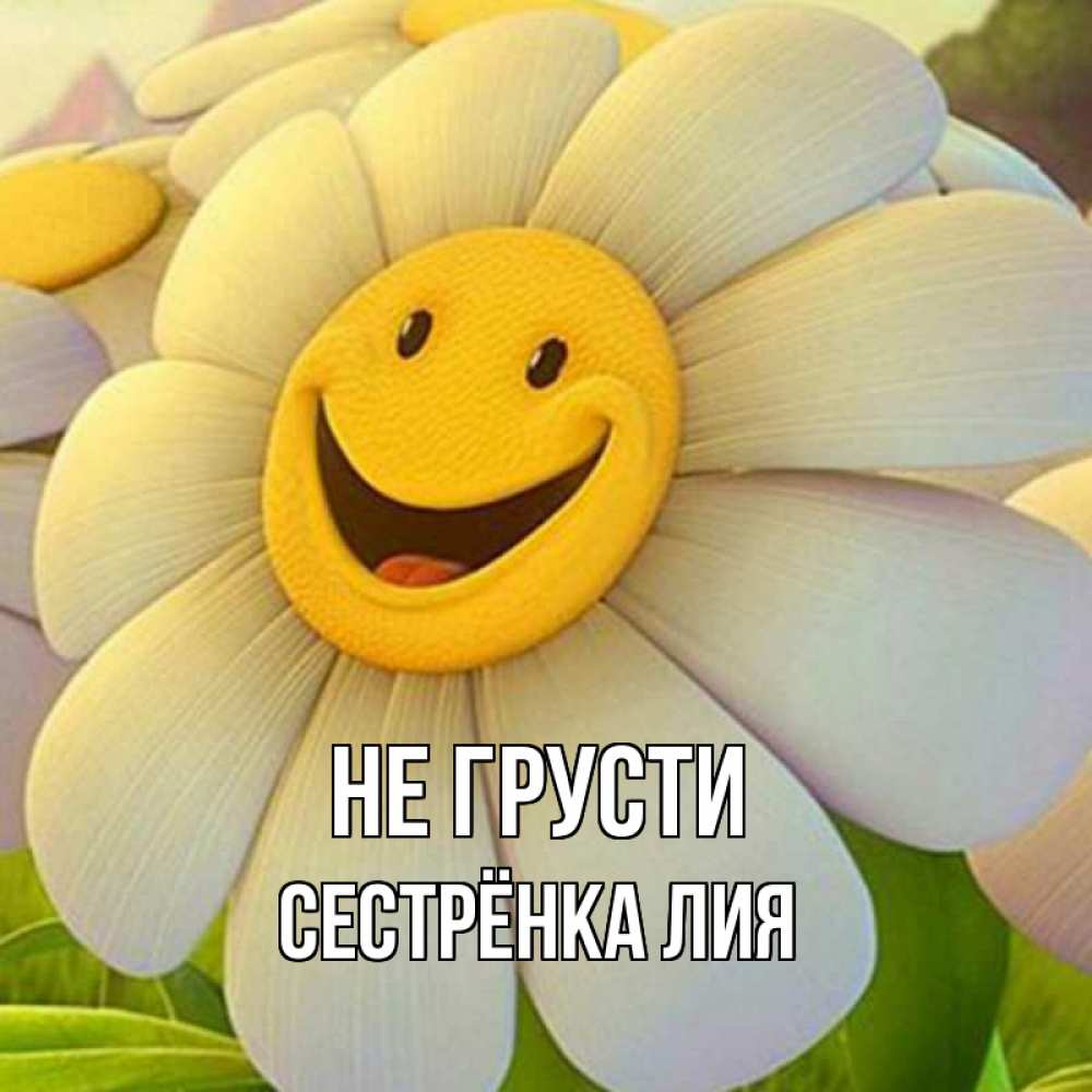 Открытка на каждый день с именем, Сестрёнка-Лия Не грусти огромная улыбающаяся ромашуща Прикольная открытка с пожеланием онлайн скачать бесплатно 