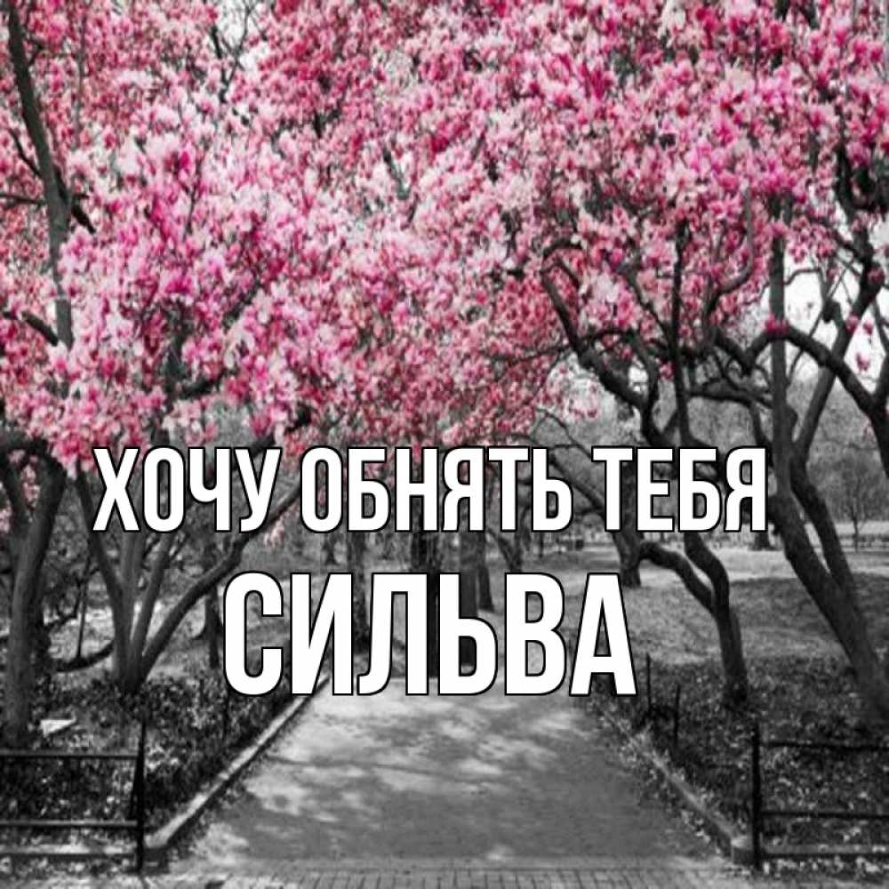 Открытка на каждый день с именем, Сильва Хочу обнять тебя обработанное фото Прикольная открытка с пожеланием онлайн скачать бесплатно 