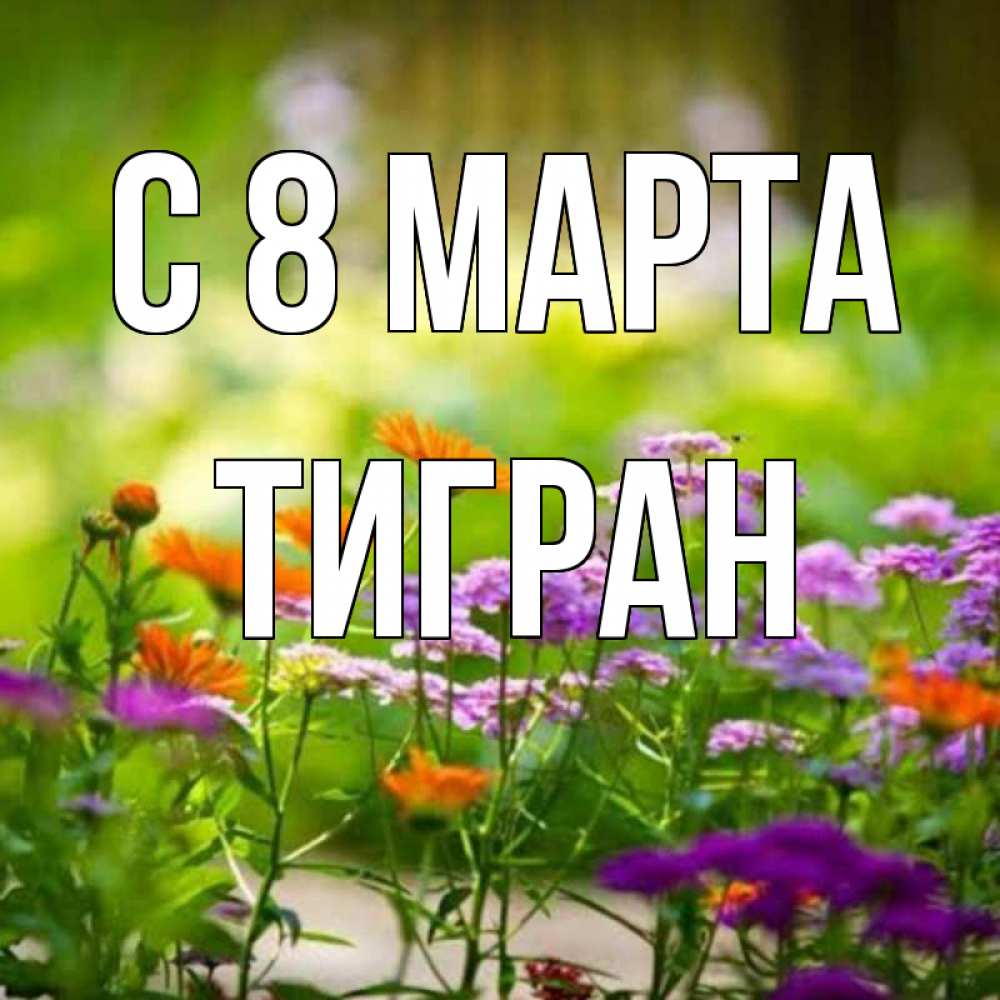 Открытка на каждый день с именем, Тигран С 8 МАРТА цветы Прикольная открытка с пожеланием онлайн скачать бесплатно 