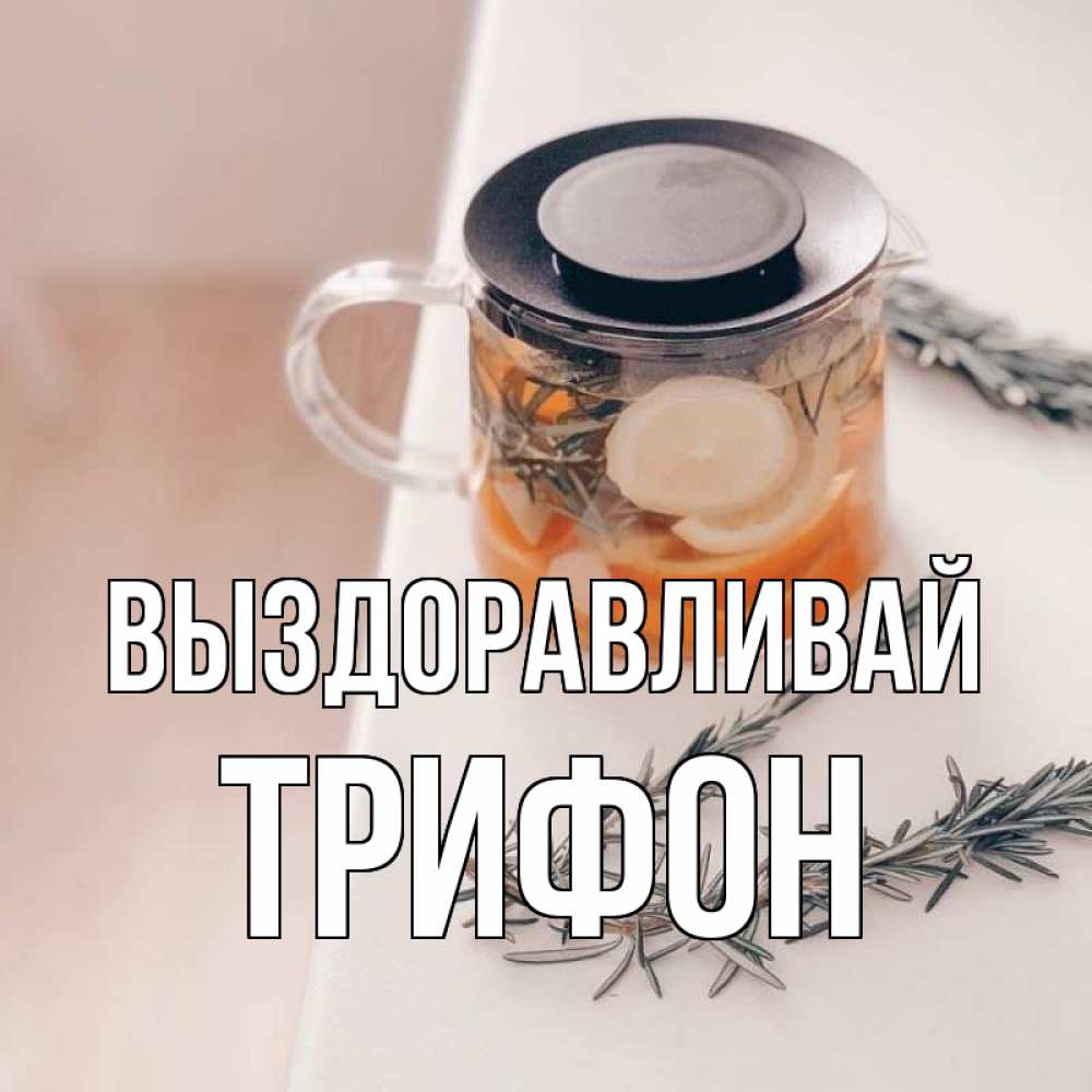 Открытка на каждый день с именем, Трифон Выздоравливай ну вы там держитесь Прикольная открытка с пожеланием онлайн скачать бесплатно 