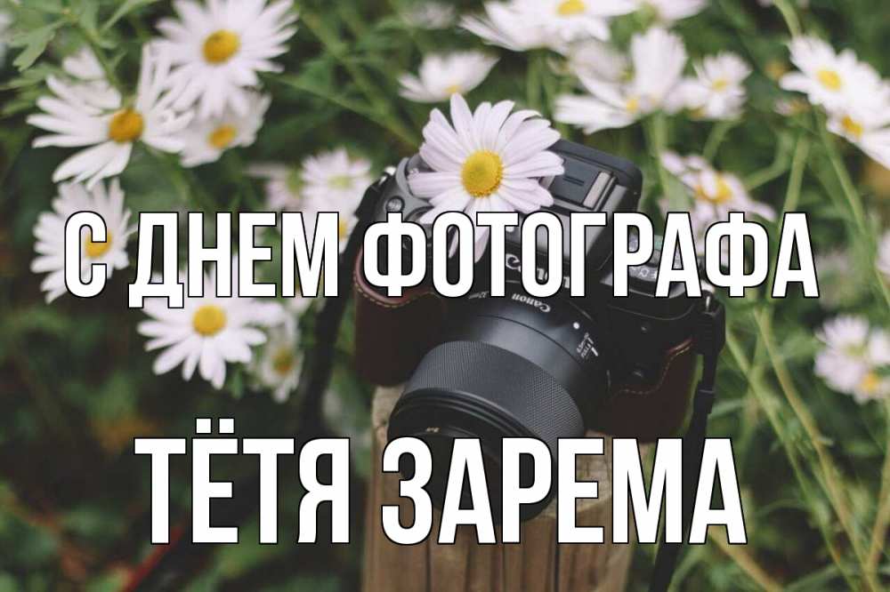 Открытка на каждый день с именем, Тётя-Зарема С днем фотографа с днем фотографа Прикольная открытка с пожеланием онлайн скачать бесплатно 