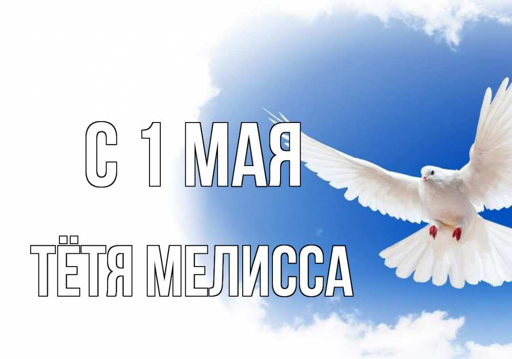 Открытка на каждый день с именем, Тётя-Мелисса С 1 мая С 1 мая Прикольная открытка с пожеланием онлайн скачать бесплатно 