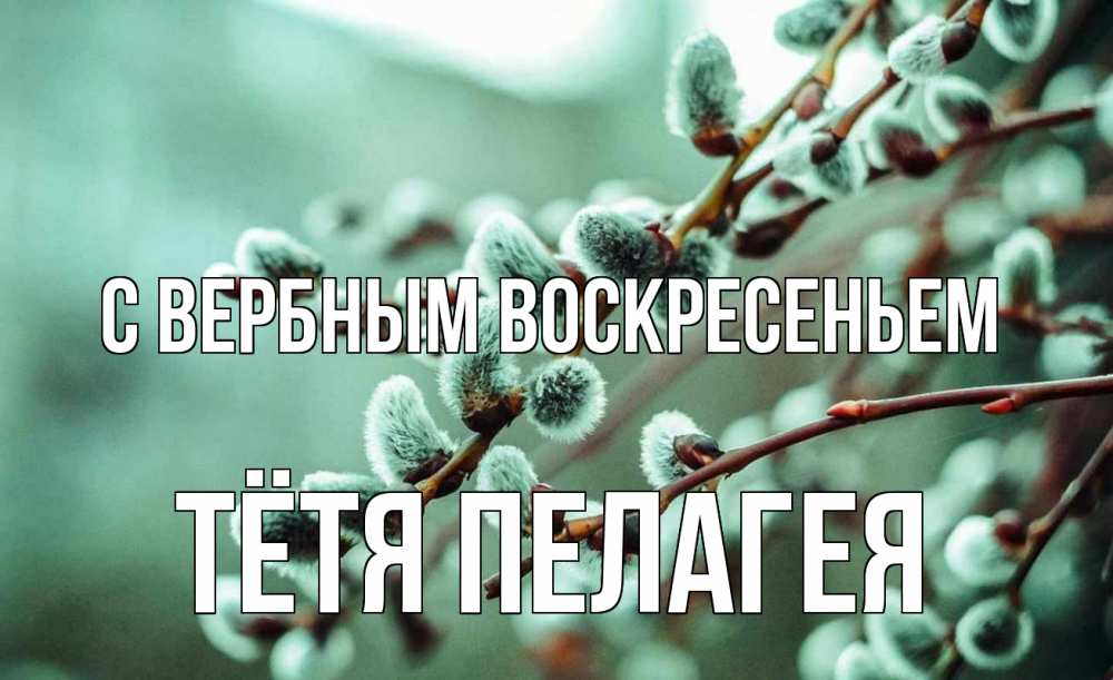 Открытка на каждый день с именем, Тётя-Пелагея С вербным воскресеньем верба Прикольная открытка с пожеланием онлайн скачать бесплатно 