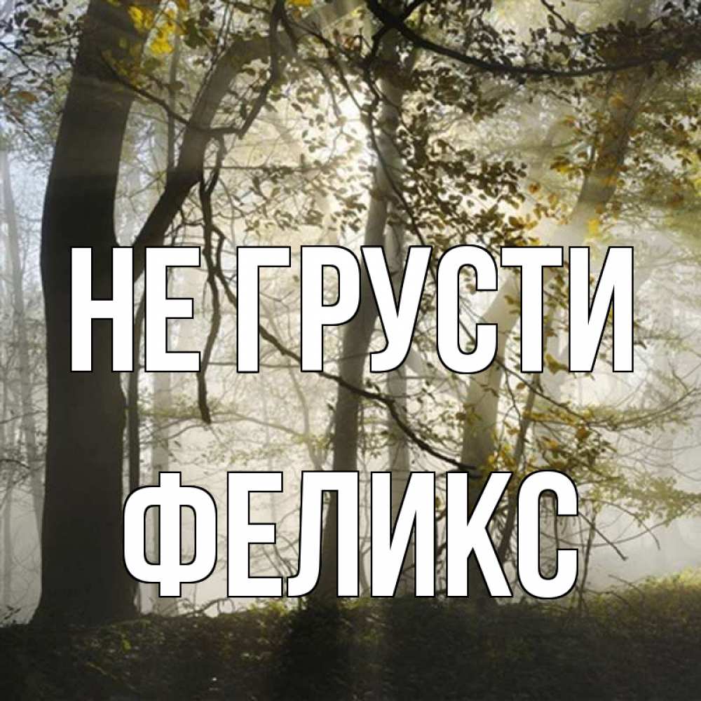 Открытка на каждый день с именем, Феликс Не грусти лес и свет Прикольная открытка с пожеланием онлайн скачать бесплатно 