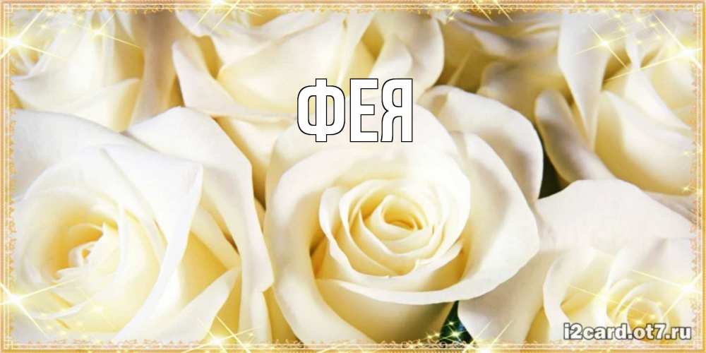 Открытка на каждый день с именем, Фея Главная розочки белого цвета на открытке Прикольная открытка с пожеланием онлайн скачать бесплатно 