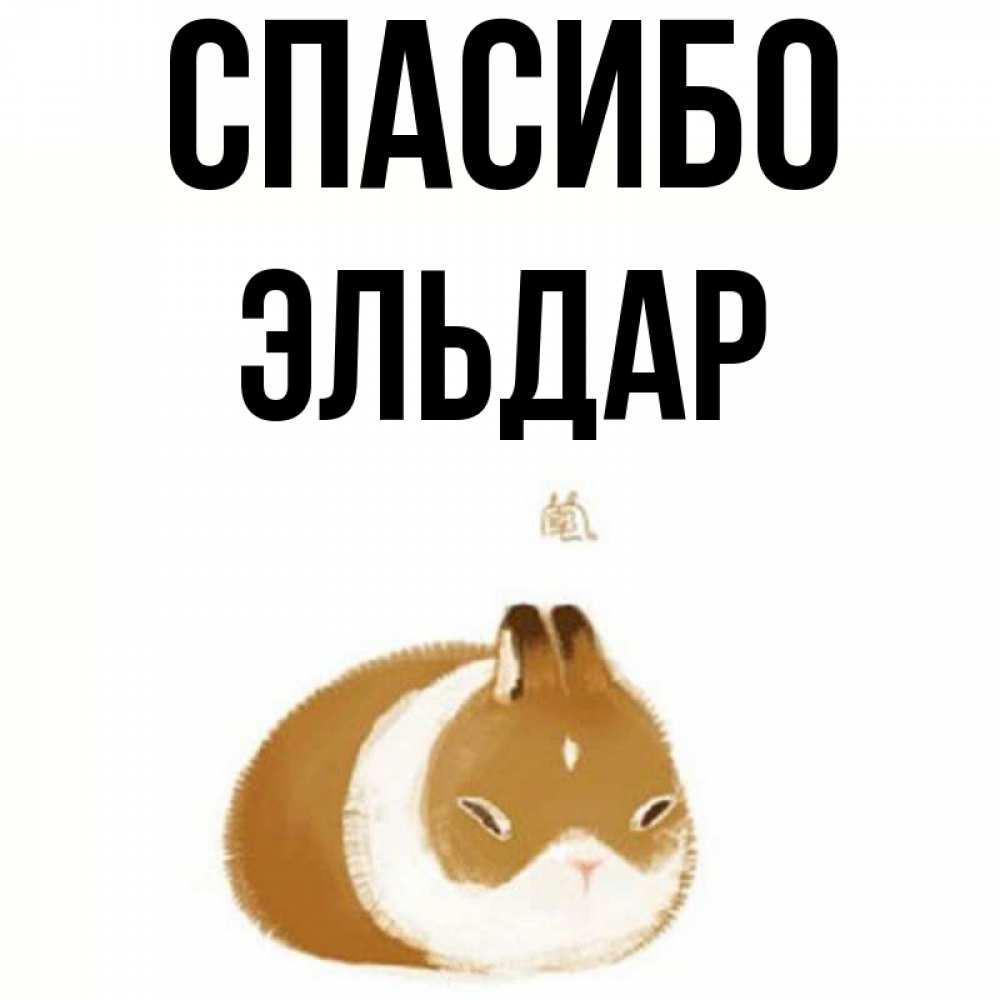 Открытка на каждый день с именем, Эльдар Спасибо коричнево белый домашний питомец Прикольная открытка с пожеланием онлайн скачать бесплатно 