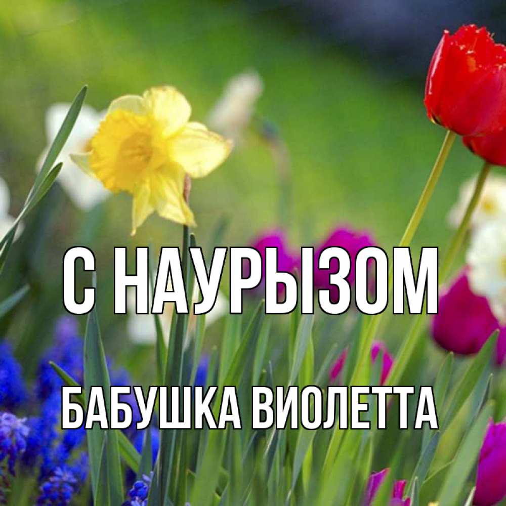 Открытка на каждый день с именем, Бабушка-Виолетта С наурызом праздник весны наурыз 3 Прикольная открытка с пожеланием онлайн скачать бесплатно 