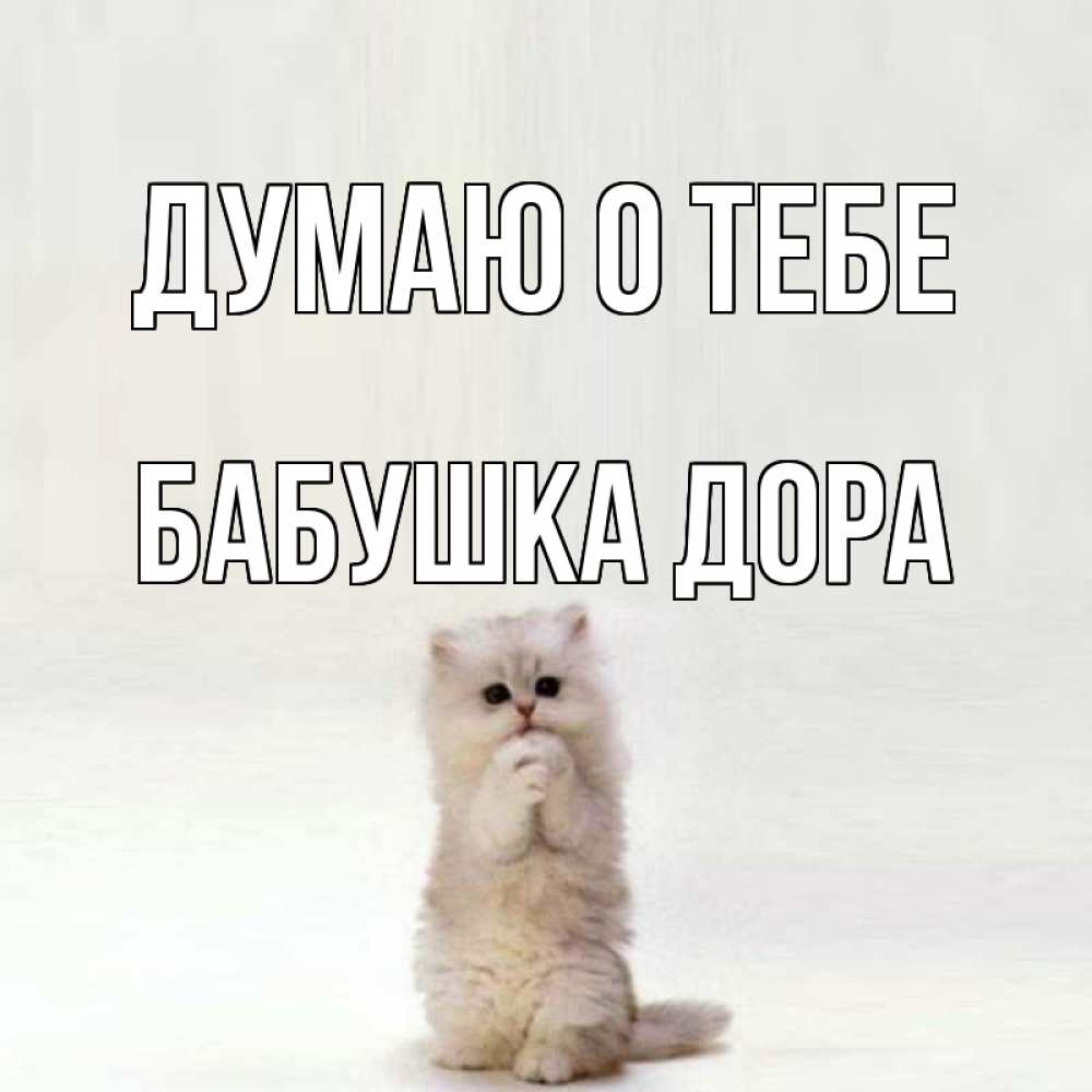 Открытка на каждый день с именем, Бабушка-Дора Думаю о тебе кот стоит на задних лапах Прикольная открытка с пожеланием онлайн скачать бесплатно 