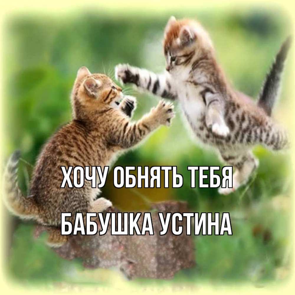 Открытка на каждый день с именем, Бабушка-Устина Хочу обнять тебя игры котят Прикольная открытка с пожеланием онлайн скачать бесплатно 