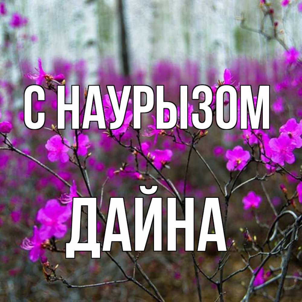 Открытка на каждый день с именем, Дайна С наурызом дикие цветы Прикольная открытка с пожеланием онлайн скачать бесплатно 