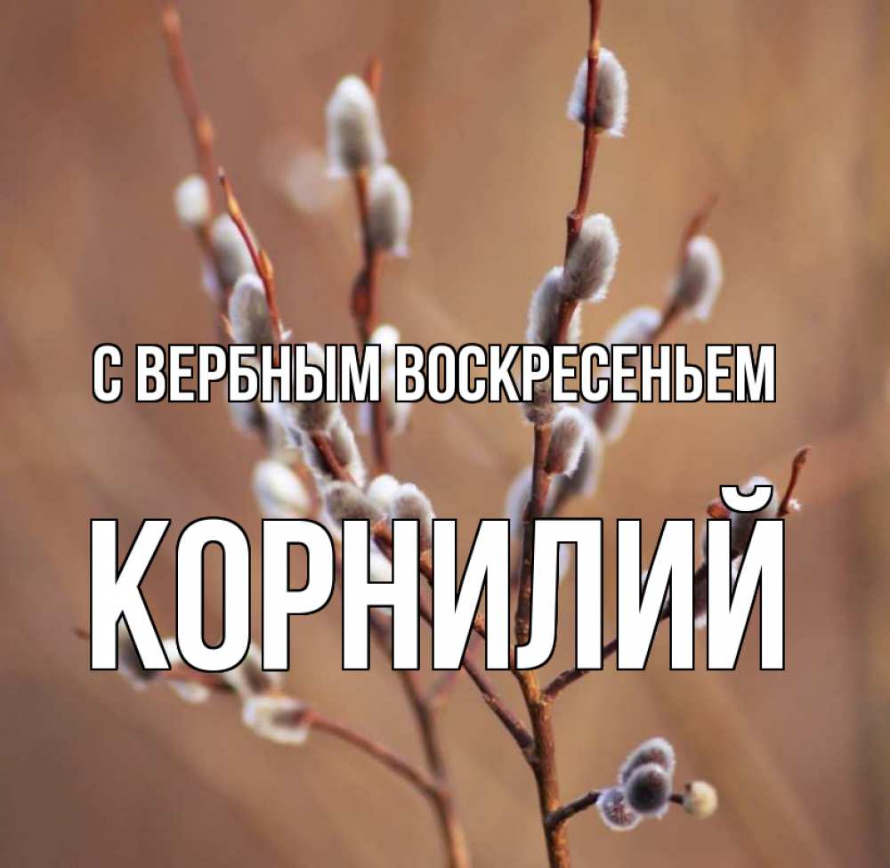 Открытка на каждый день с именем, Корнилий С вербным воскресеньем верба Прикольная открытка с пожеланием онлайн скачать бесплатно 