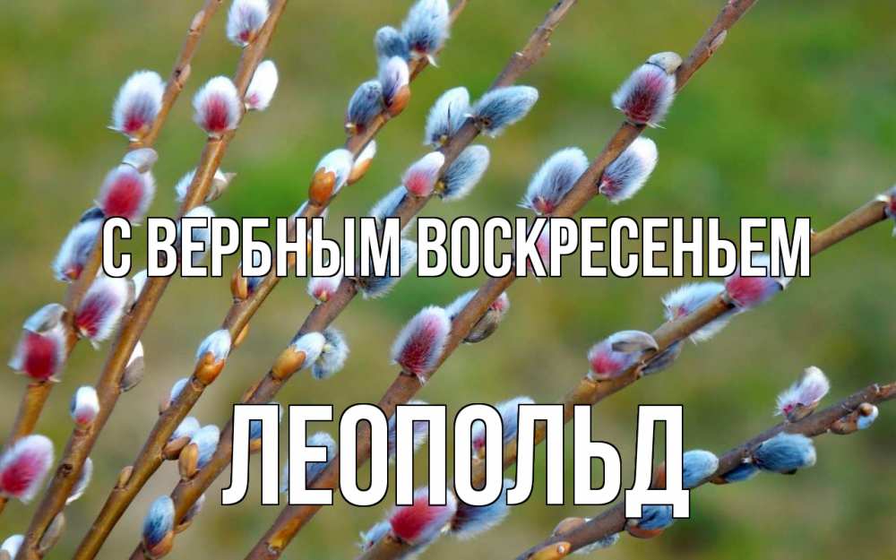 Открытка на каждый день с именем, Леопольд С вербным воскресеньем верба Прикольная открытка с пожеланием онлайн скачать бесплатно 