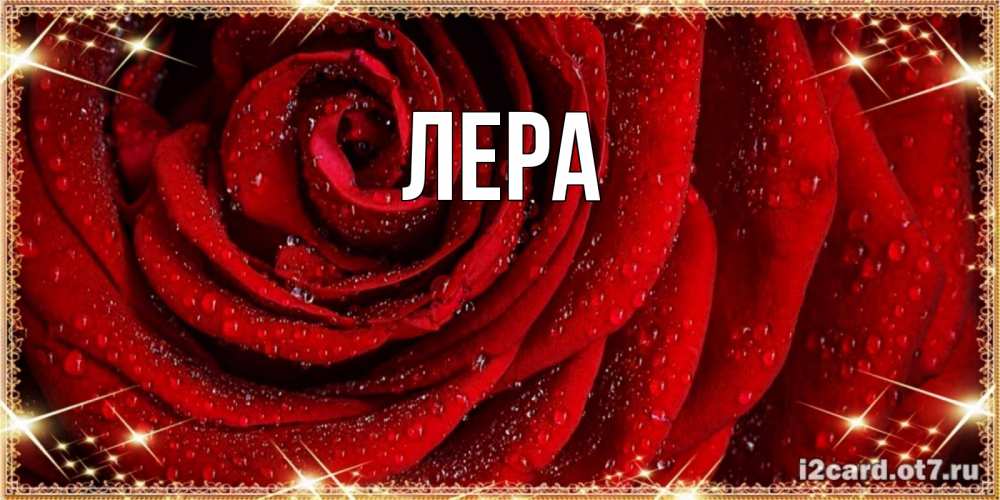 Открытка на каждый день с именем, Лера Главная роса на розе блестящая в лучах солнца Прикольная открытка с пожеланием онлайн скачать бесплатно 